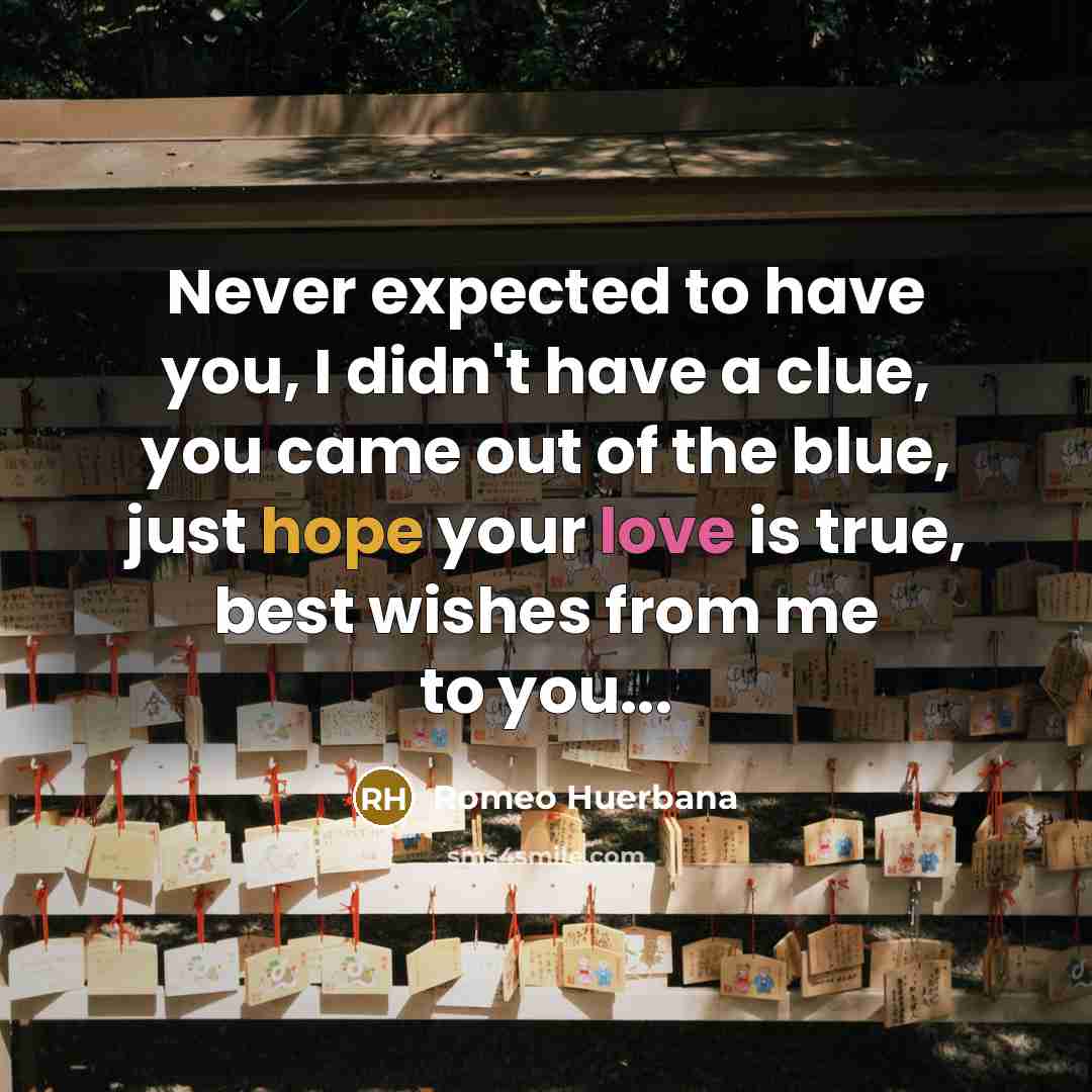 “Never expected to have you, I didn't have a clue, you came out of the blue, just hope your love is true, best wishes from me to you...” quote by Romeo Huerbana