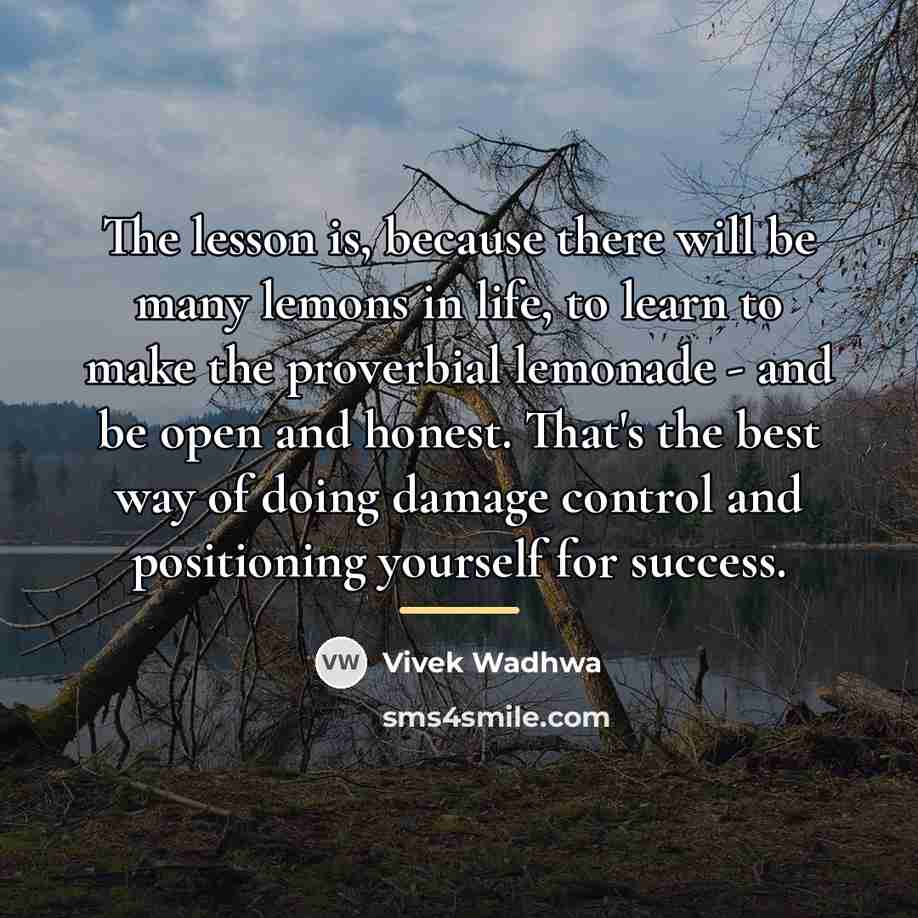 “The lesson is, because there will be many lemons in…” quote by Vivek Wadhwa