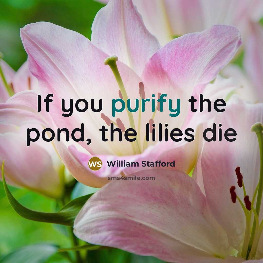 “If you purify the pond, the lilies die…” quote by William Stafford
