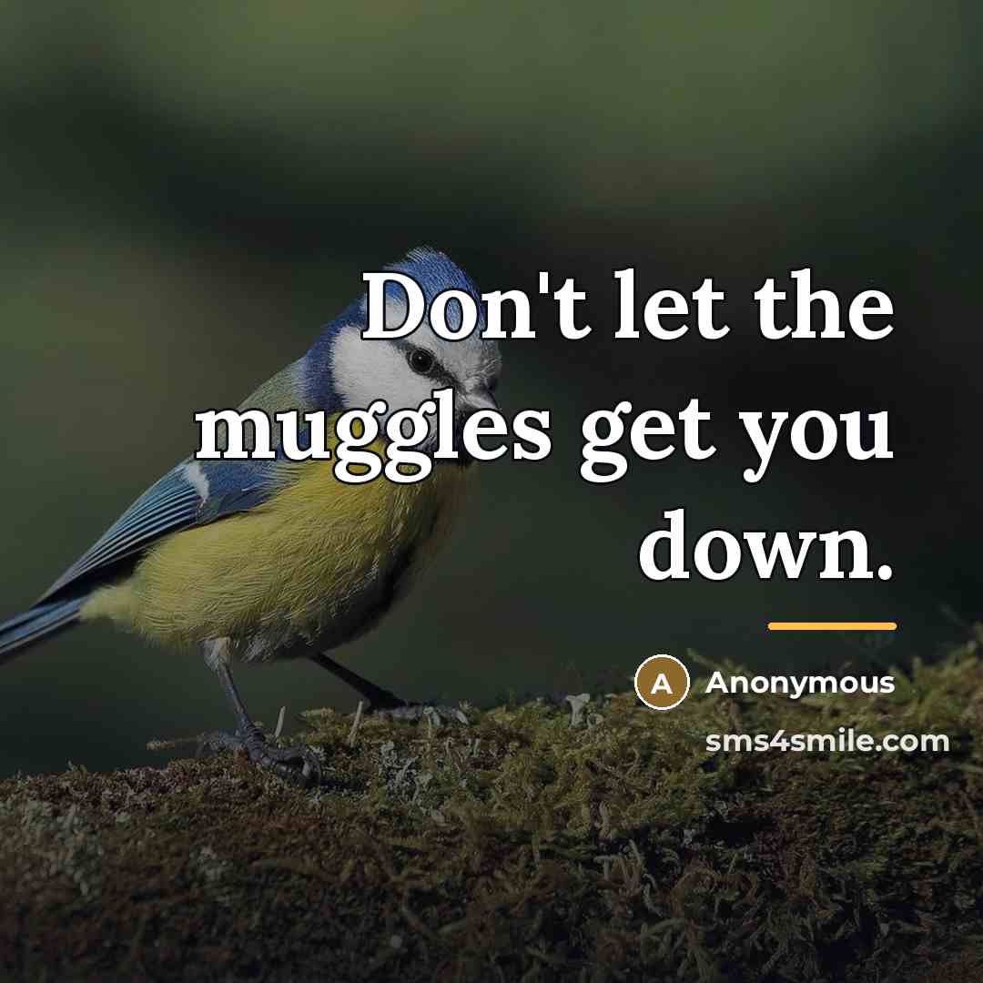 “Don't let the muggles get you down.…” quote by Anonymous