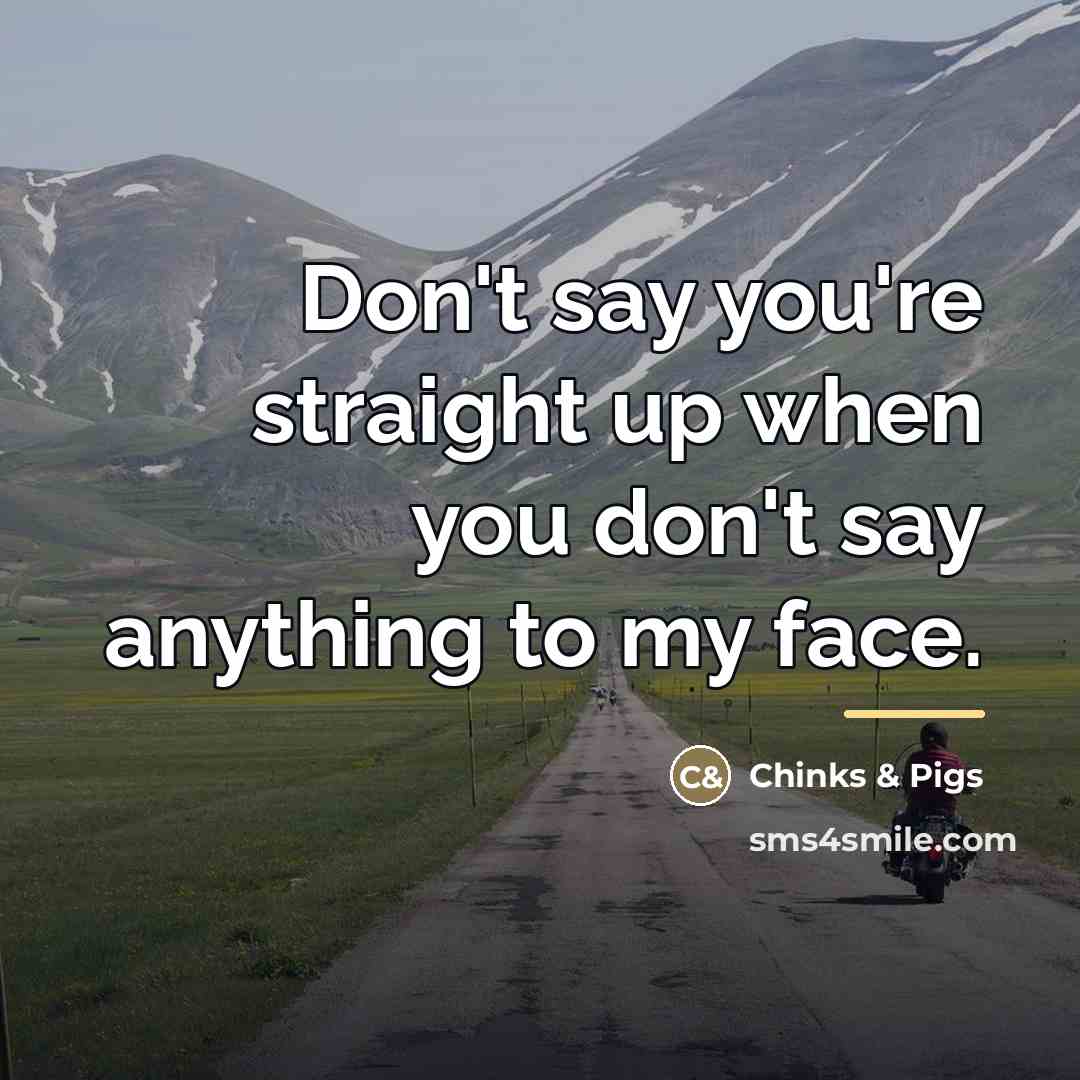 “Don't say you're straight up when you don't say anything…” quote by Chinks & Pigs