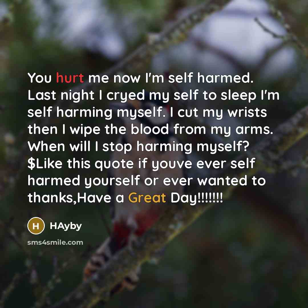 “You hurt me now I'm self harmed. Last night I cryed my self to sleep I'm self harming myself. I cut my wrists then I wipe the blood from my arms. When will I stop harming myself? $Like this quote if youve ever self harmed yourself or ever wanted to thanks,Have a Great Day!!!!!!!” quote by HAyby