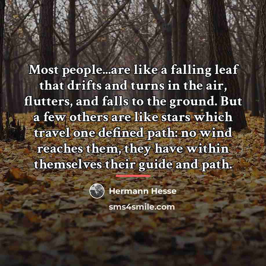 “Most people...are like a falling leaf that drifts and turns…” quote by Hermann Hesse