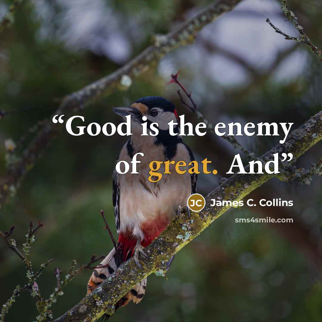 “Good is the enemy of great. And” quote by James C. Collins