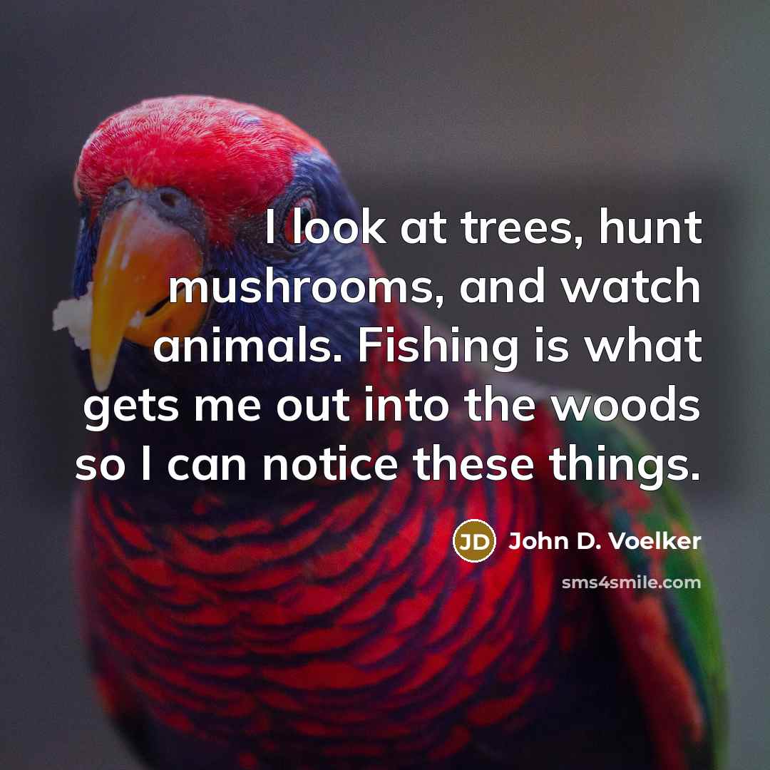 “I look at trees, hunt mushrooms, and watch animals. Fishing…” quote by John D. Voelker