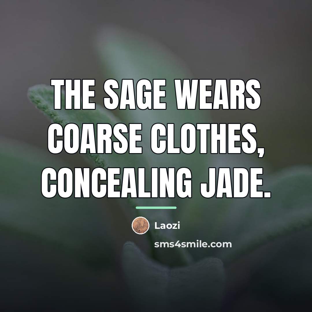 “The sage wears coarse clothes, concealing jade.…” quote by Laozi