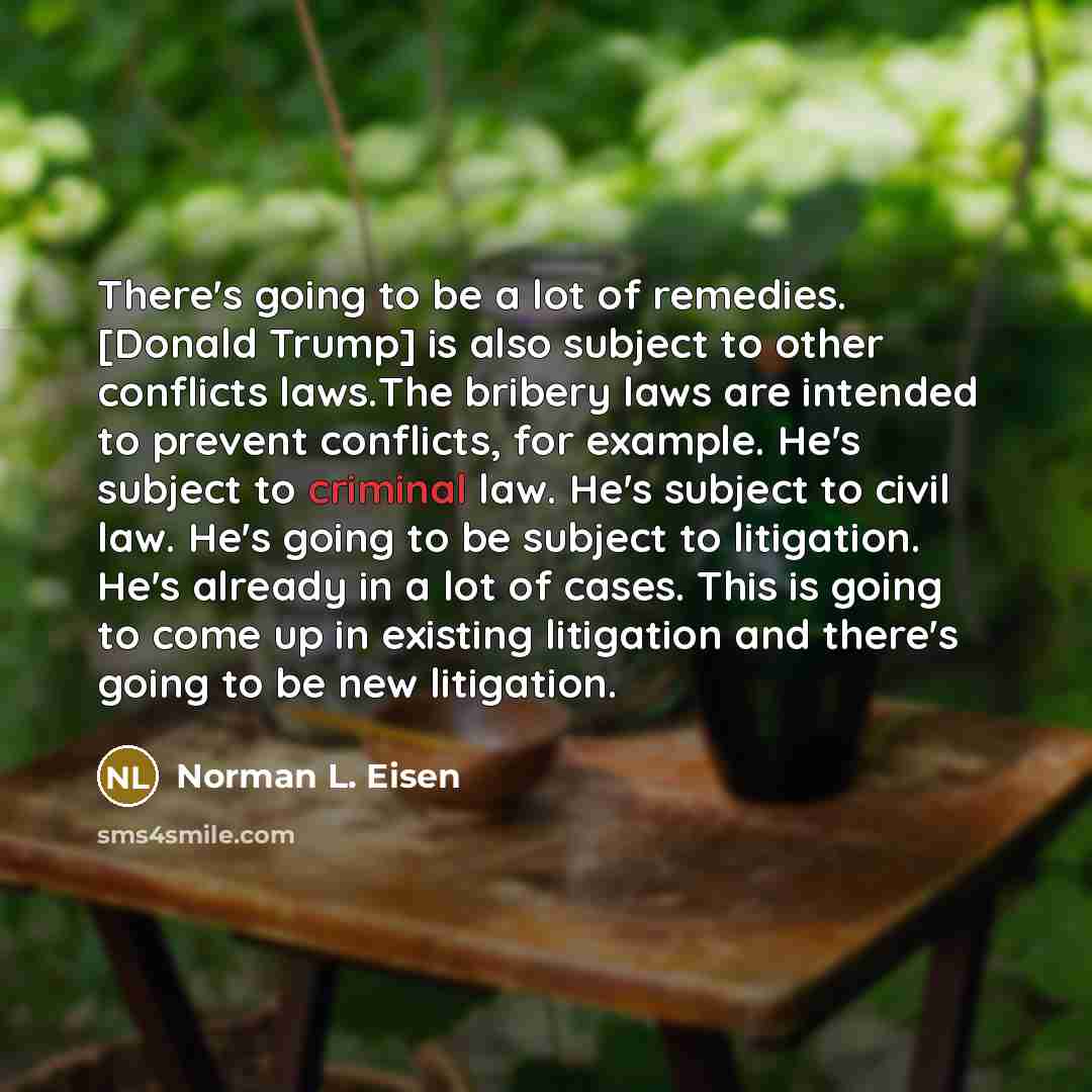 “There's going to be a lot of remedies. [Donald Trump]…” quote by Norman L. Eisen