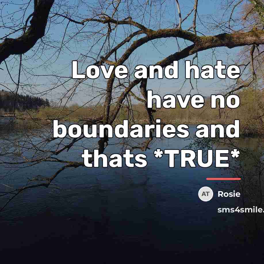 “Love and hate have no boundaries and thats *TRUE*…” quote by Rosie