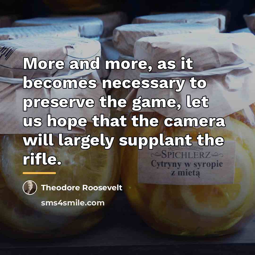 “More and more, as it becomes necessary to preserve the…” quote by Theodore Roosevelt