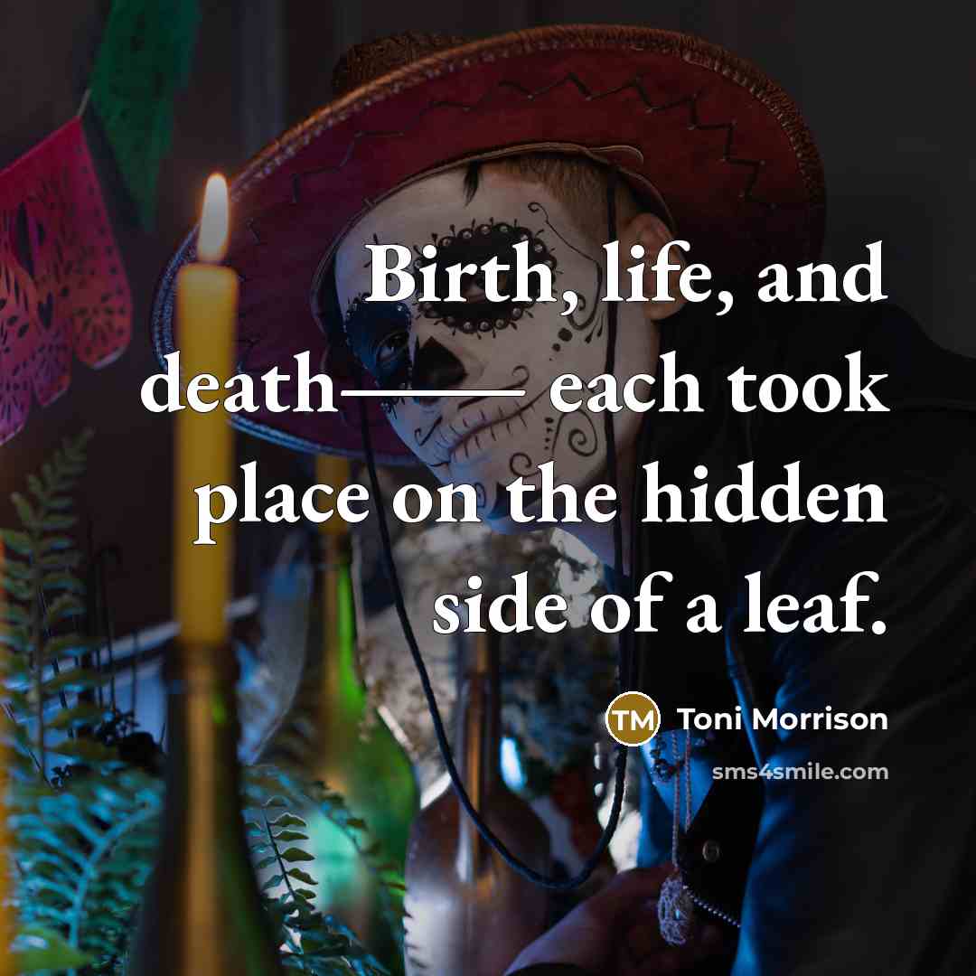 “Birth, life, and death― each took place on the hidden…” quote by Toni Morrison