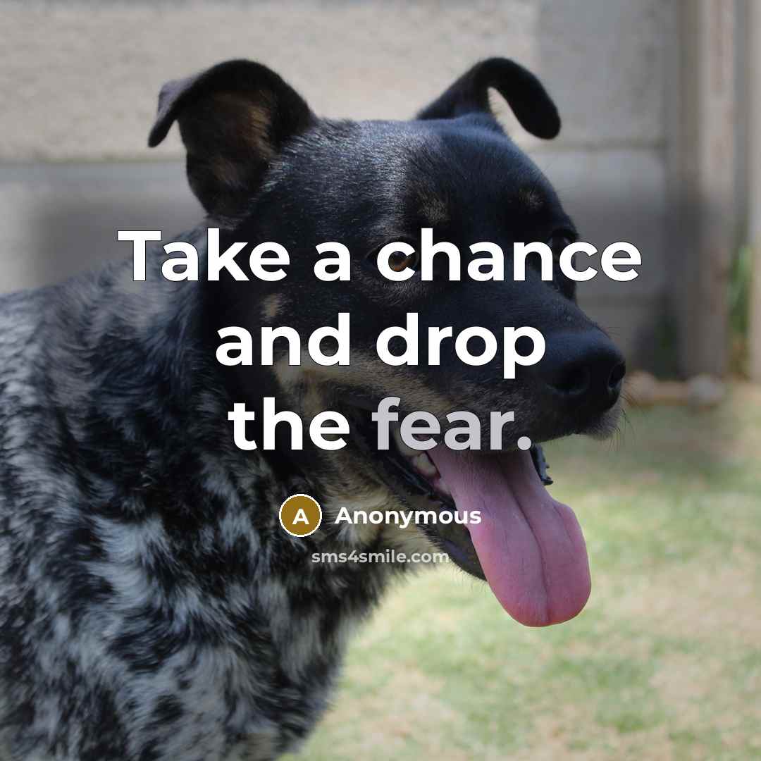 “Take a chance and drop the fear.…” quote by Anonymous