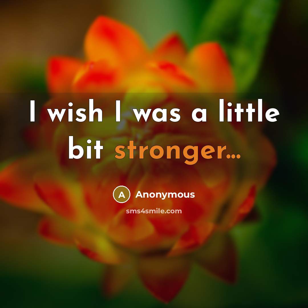 “I wish I was a little bit stronger...” quote by Anonymous