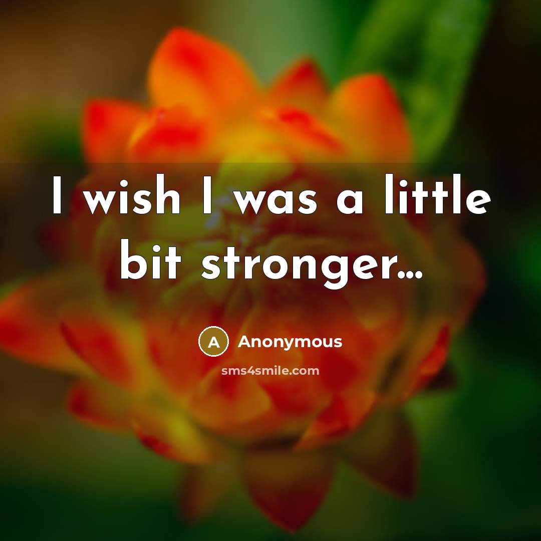 “I wish I was a little bit stronger...” quote by Anonymous