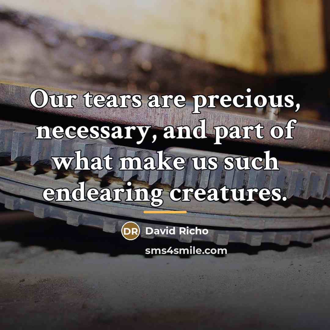 “Our tears are precious, necessary, and part of what make…” quote by David Richo