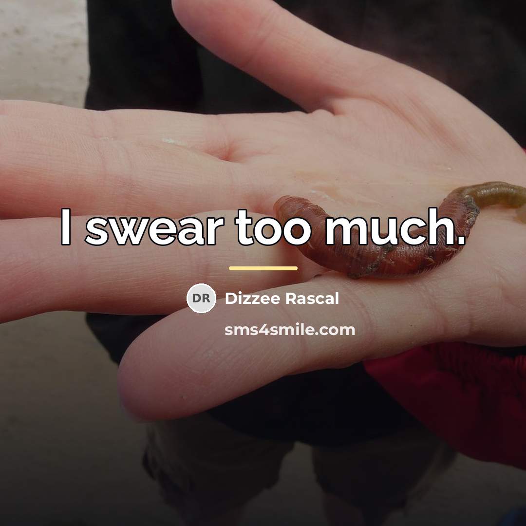 “I swear too much.…” quote by Dizzee Rascal