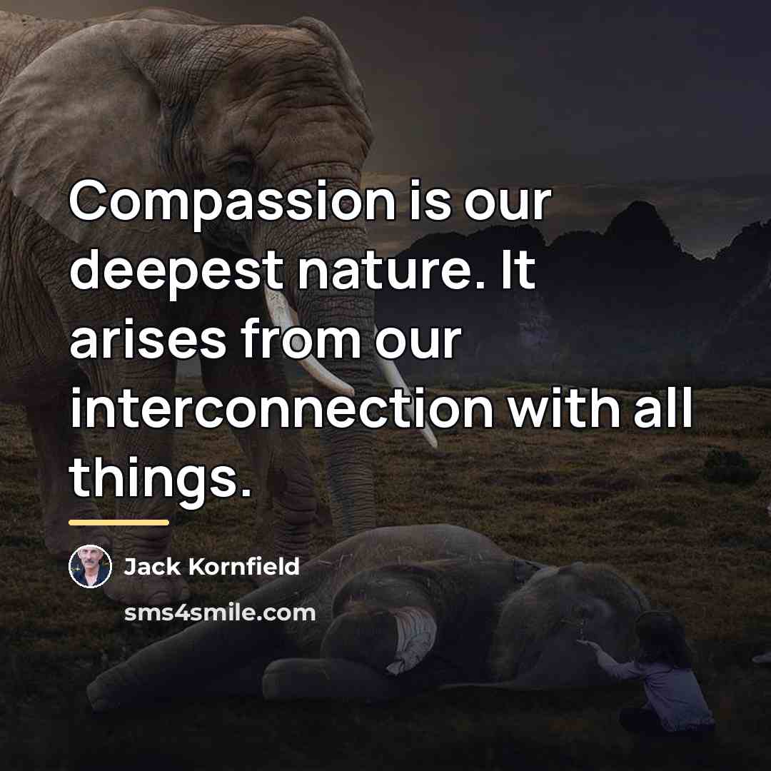 “Compassion is our deepest nature. It arises from our interconnection…” quote by Jack Kornfield