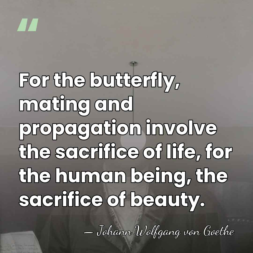For the butterfly, mating and propagation involve the sacrifice of life, for&hellip; - Johann Wolfgang von Goethe