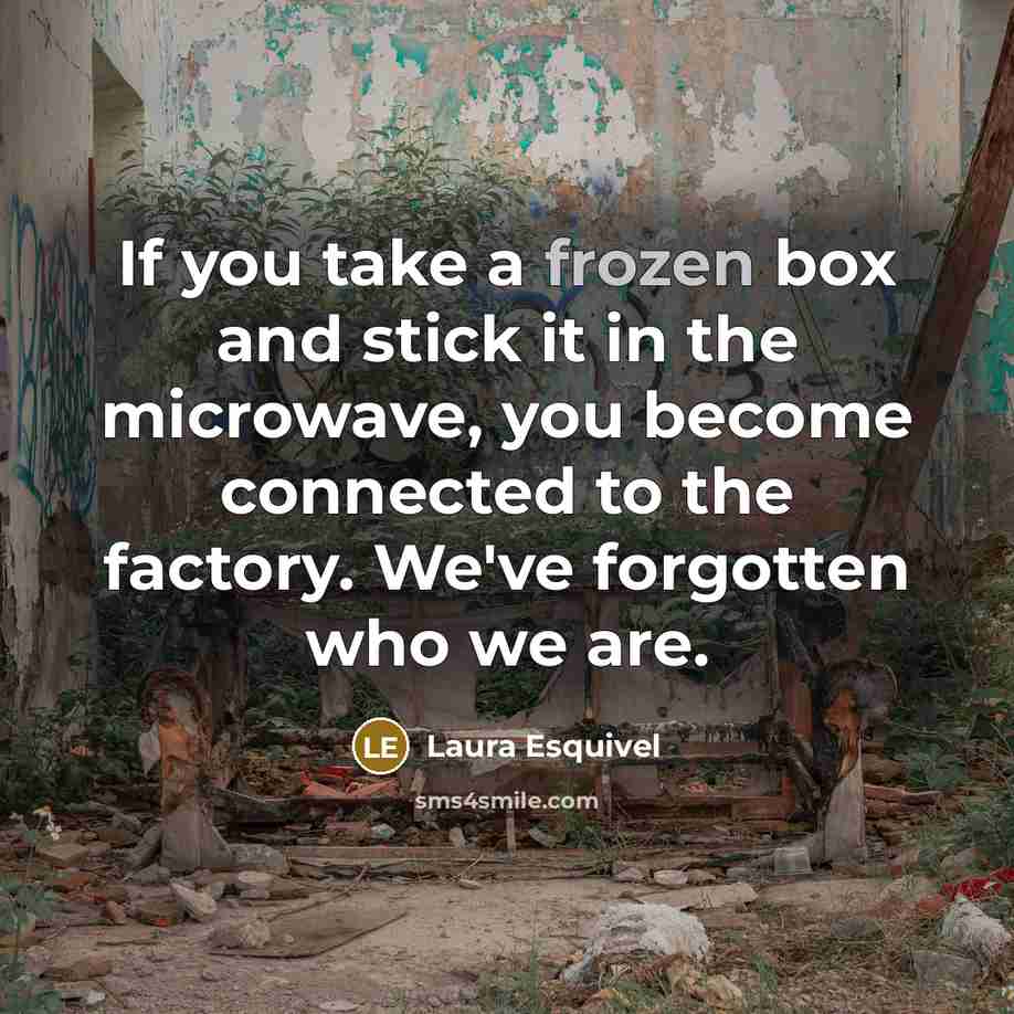 “If you take a frozen box and stick it in…” quote by Laura Esquivel