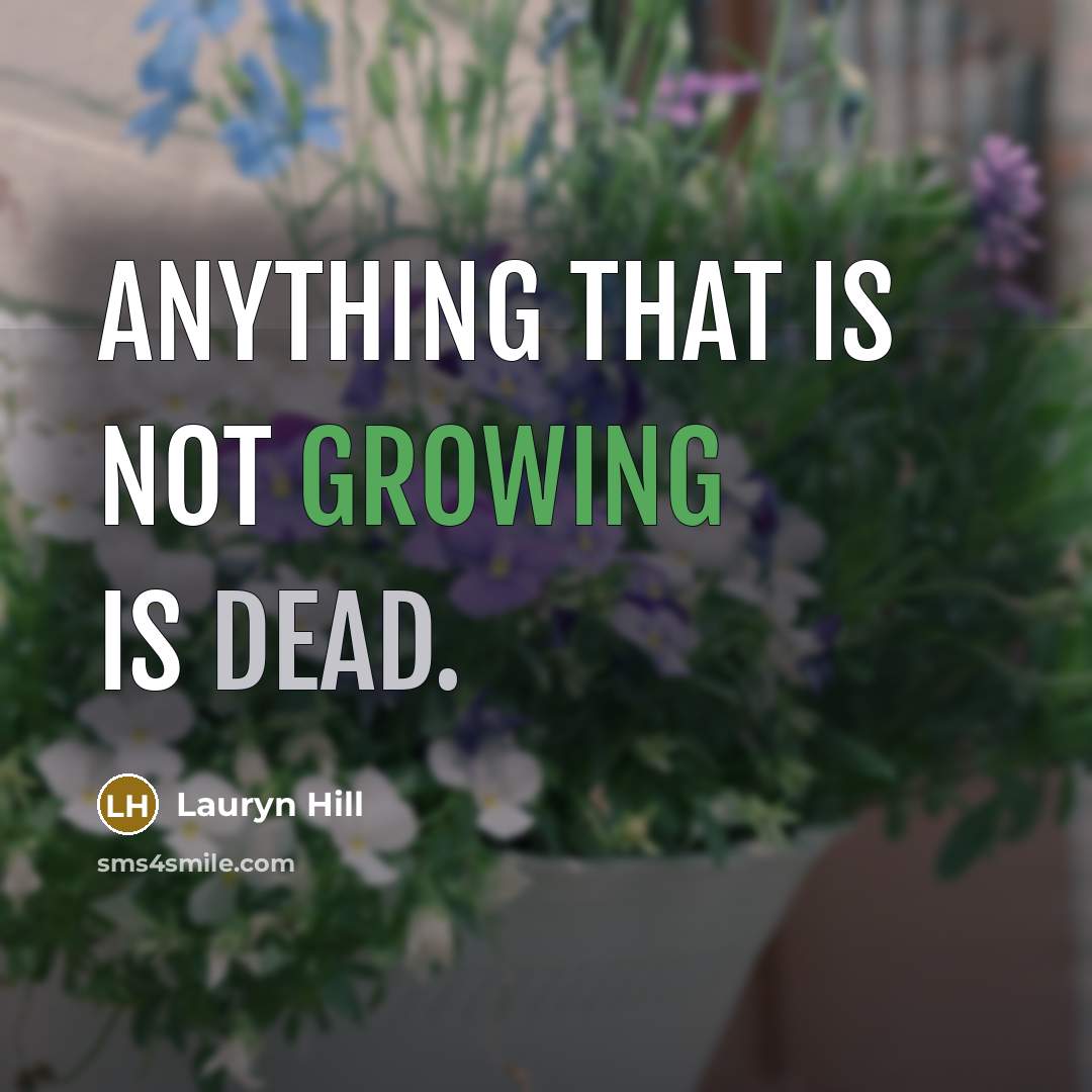 “Anything that is not growing is dead.” quote by Lauryn Hill