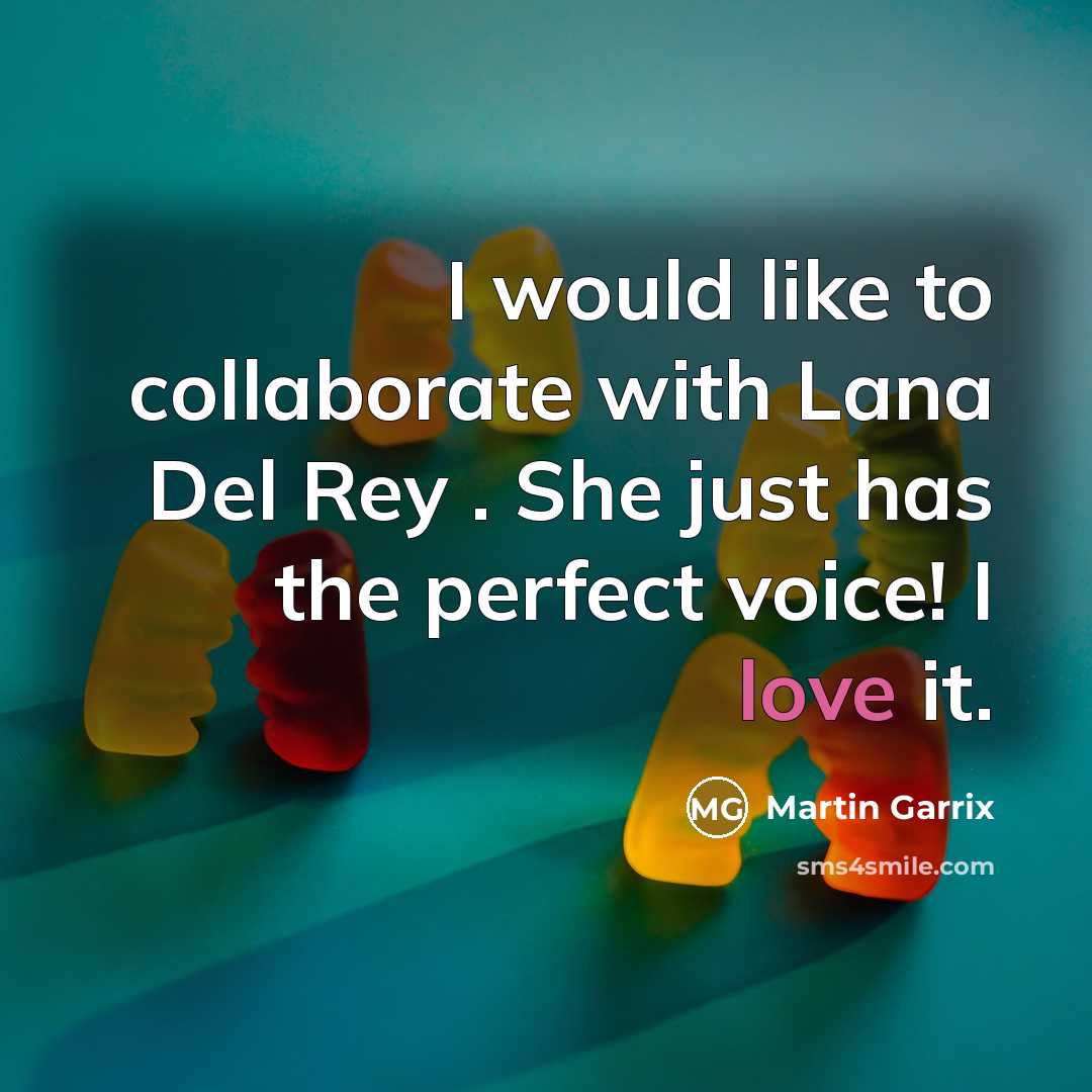 “I would like to collaborate with Lana Del Rey . She just has the perfect voice! I love it.” quote by Martin Garrix