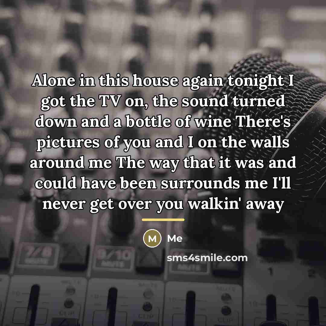 “Alone in this house again tonight I got the TV…” quote by Me