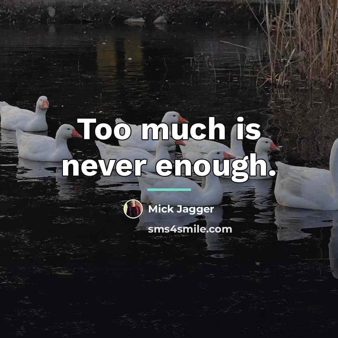 “Too much is never enough.…” quote by Mick Jagger