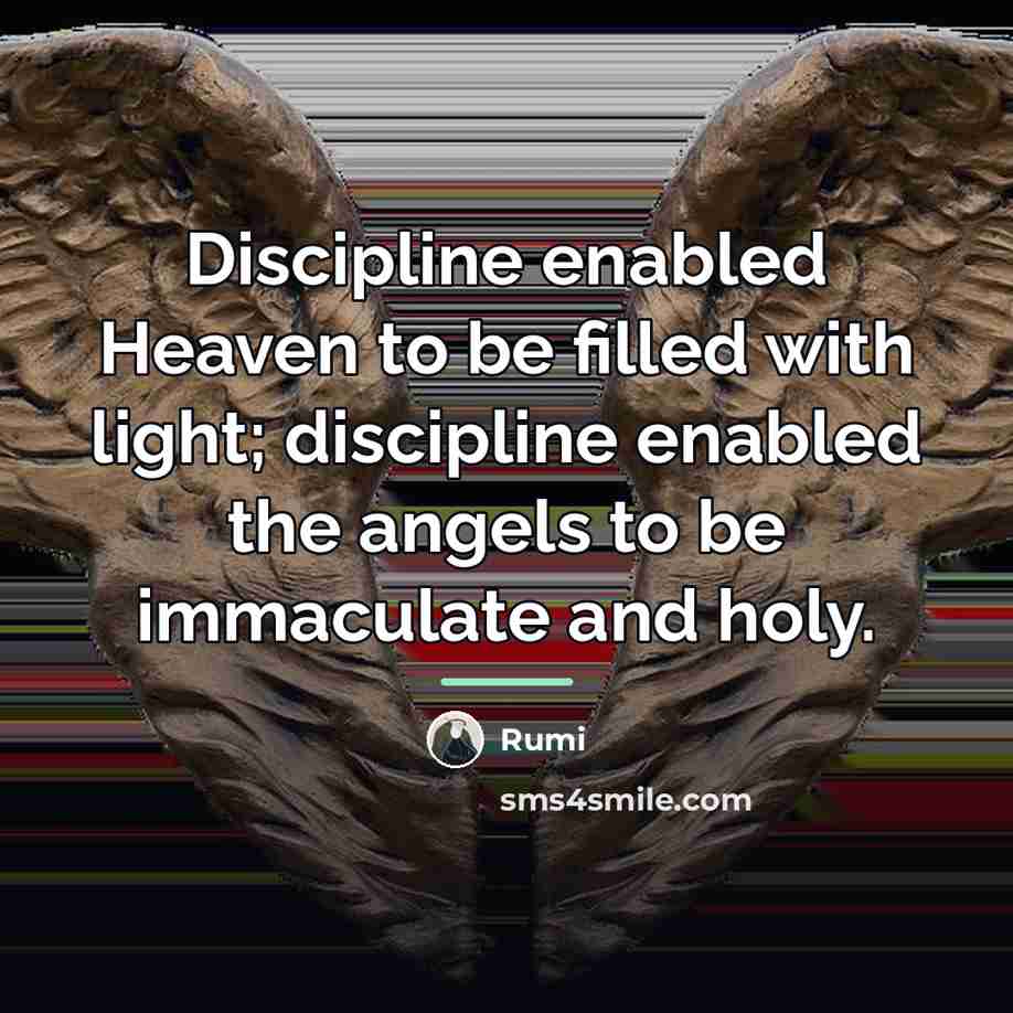 “Discipline enabled Heaven to be filled with light; discipline enabled…” quote by Rumi