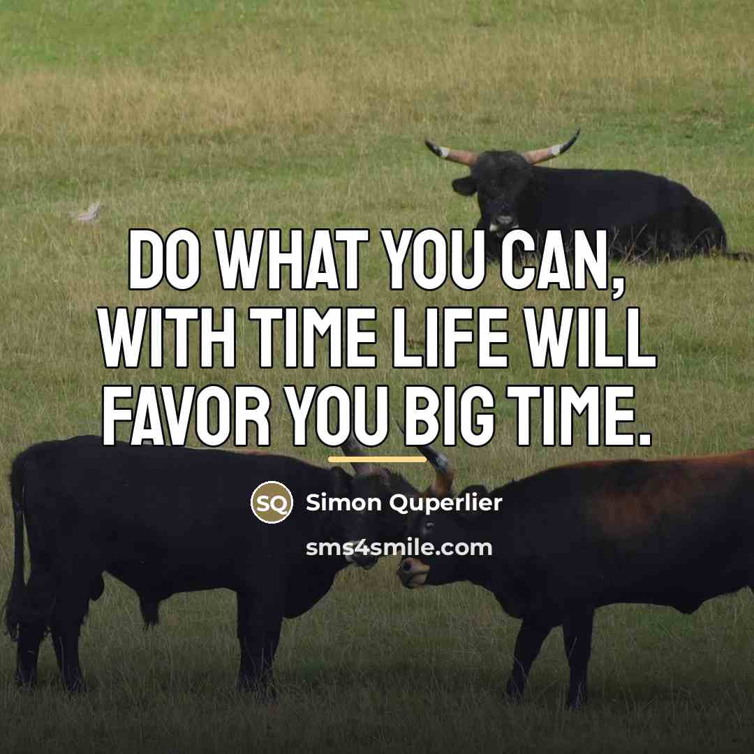 “Do what you can, with time life will favor you…” quote by Simon Quperlier