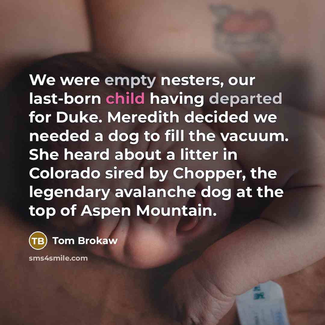“We were empty nesters, our last-born child having departed for Duke. Meredith decided we needed a dog to fill the vacuum. She heard about a litter in Colorado sired by Chopper, the legendary avalanche dog at the top of Aspen Mountain.” quote by Tom Brokaw