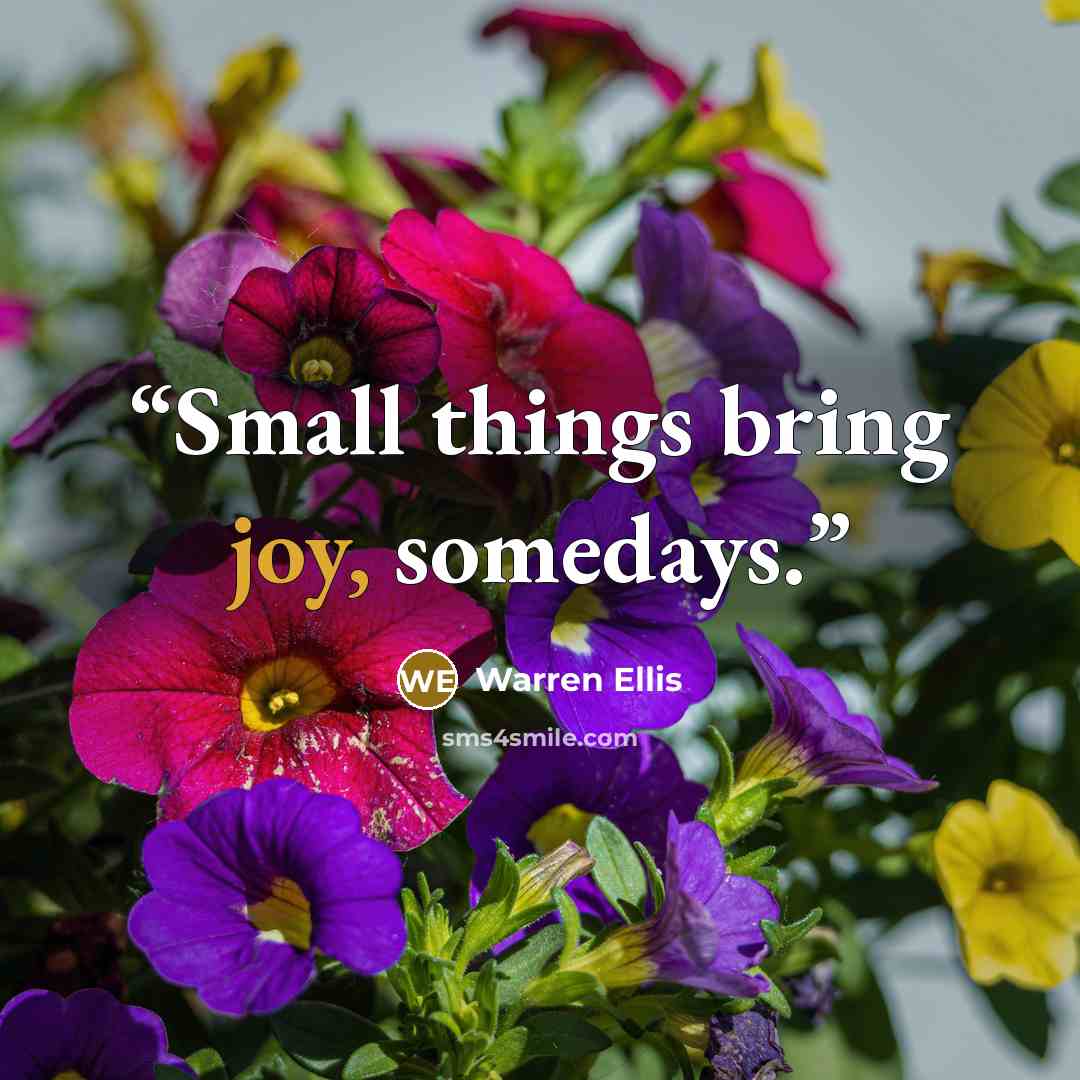 “Small things bring joy, somedays.” quote by Warren Ellis