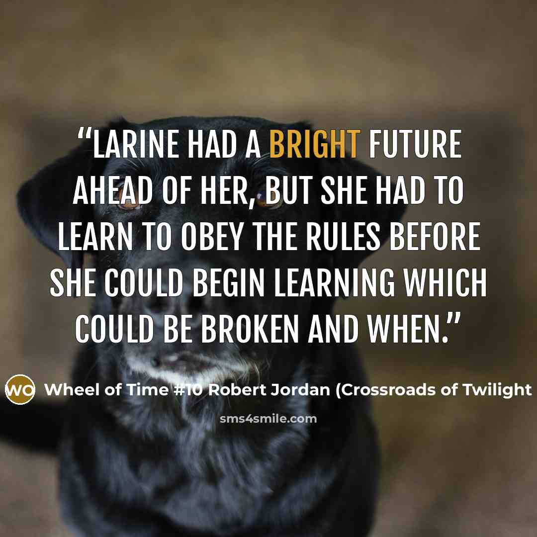 “Larine had a bright future ahead of her, but she had to learn to obey the rules before she could begin learning which could be broken and when.” quote by Wheel of Time #10 Robert Jordan (Crossroads of Twilight