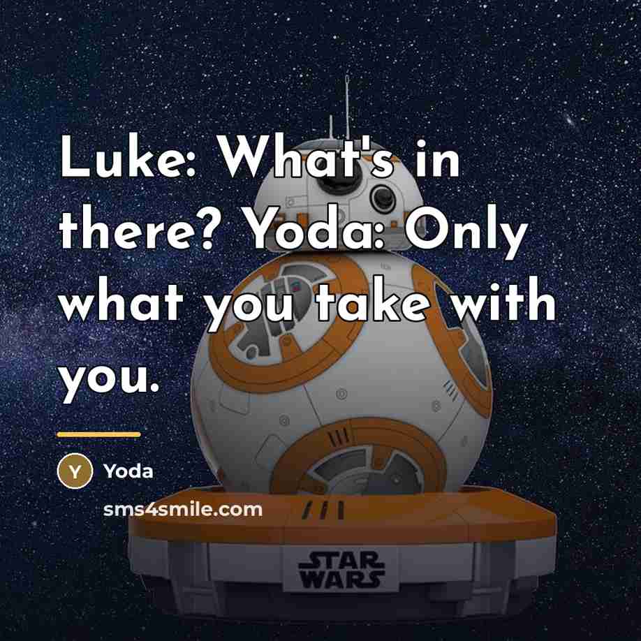 “Luke: What's in there? Yoda: Only what you take with…” quote by Yoda