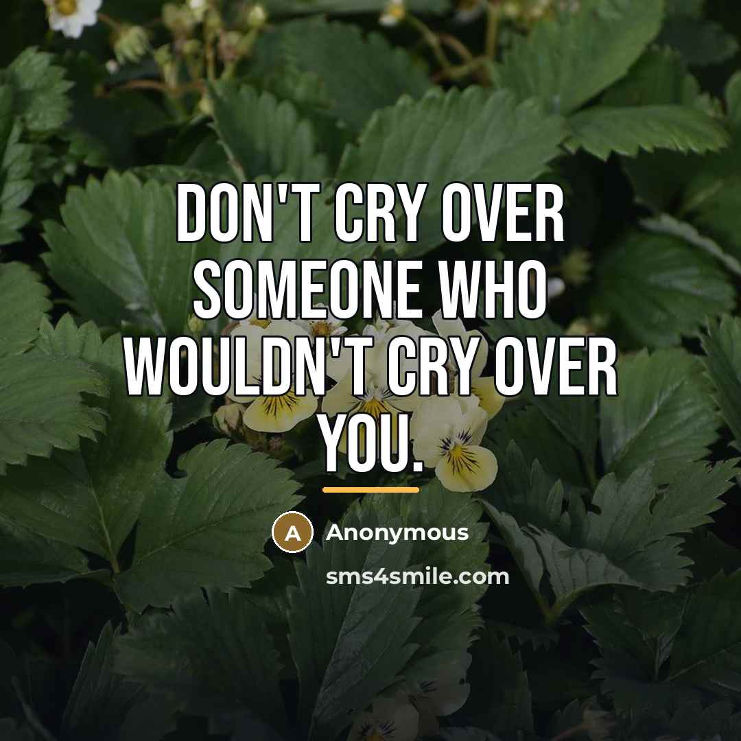 “Don't cry over someone who wouldn't cry over you.…” quote by Anonymous
