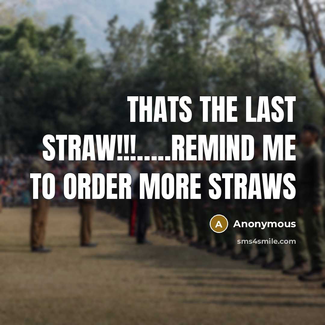 “Thats the last straw!!!…..remind me to order more straws” quote by Anonymous