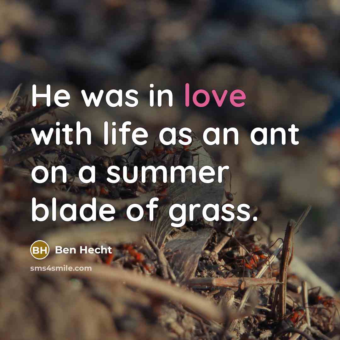 “He was in love with life as an ant on…” quote by Ben Hecht