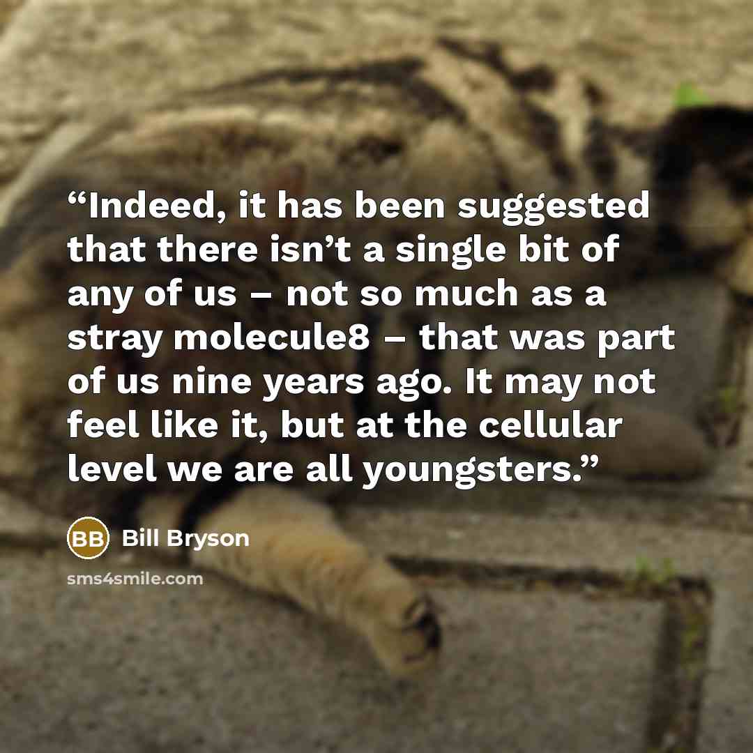 “Indeed, it has been suggested that there isn’t a single bit of any of us – not so much as a stray molecule8 – that was part of us nine years ago. It may not feel like it, but at the cellular level we are all youngsters.” quote by Bill Bryson