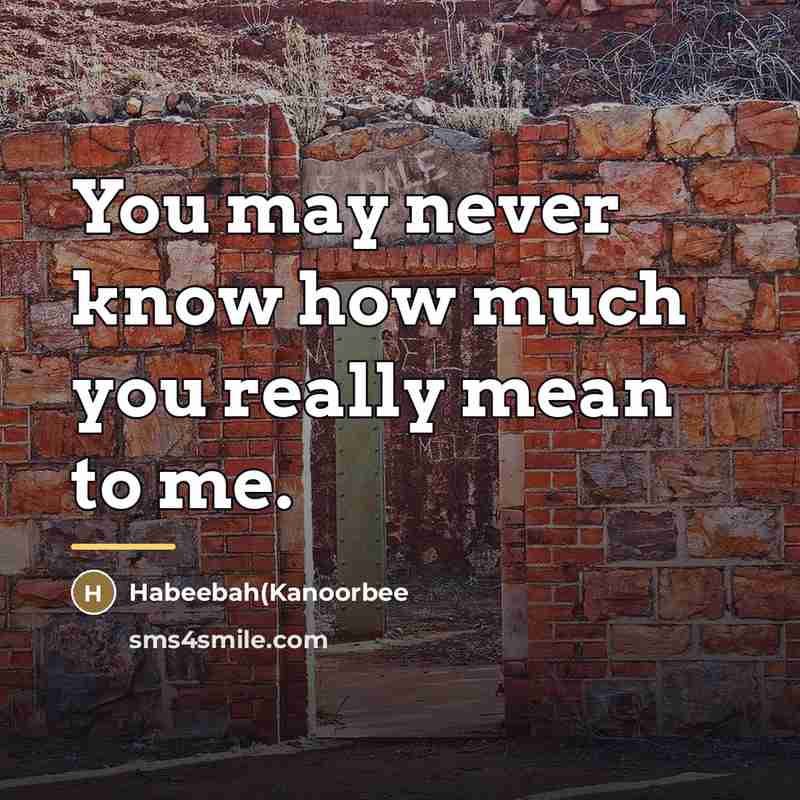 “You may never know how much you really mean to…” quote by Habeebah(Kanoorbee