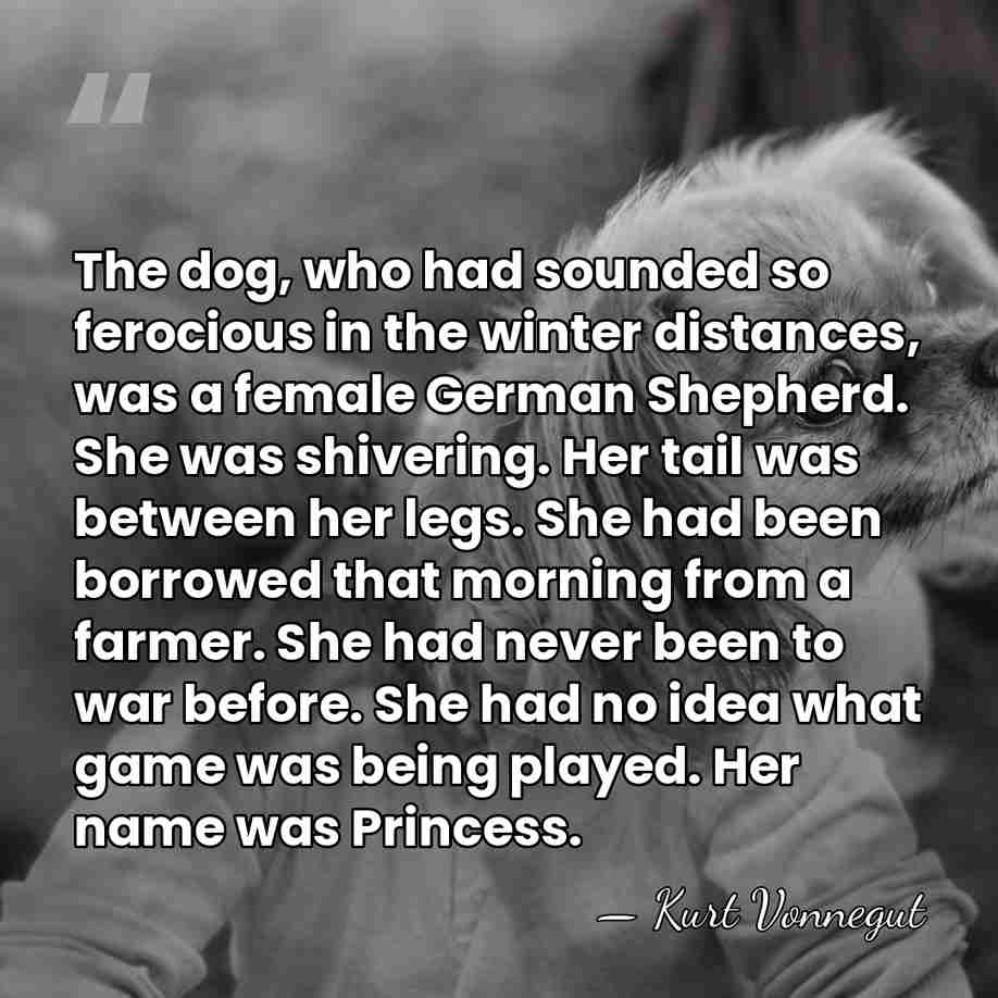 The dog, who had sounded so ferocious in the winter distances, was&hellip; - Kurt Vonnegut