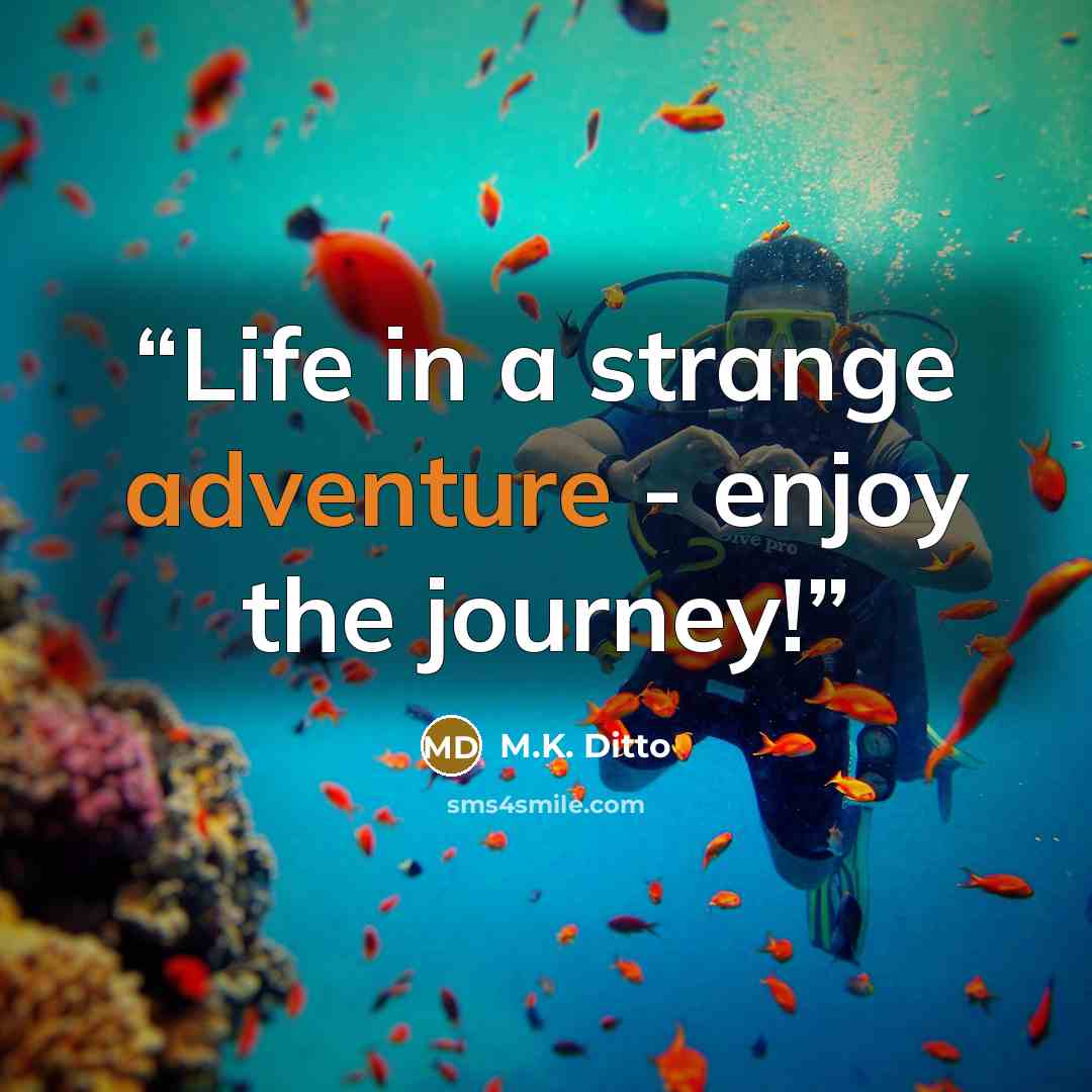“Life in a strange adventure - enjoy the journey!” quote by M.K. Ditto
