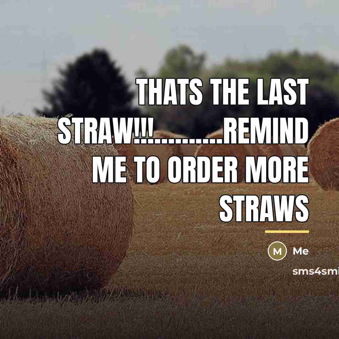 “Thats the last straw!!!..........remind me to order more straws…” quote by Me