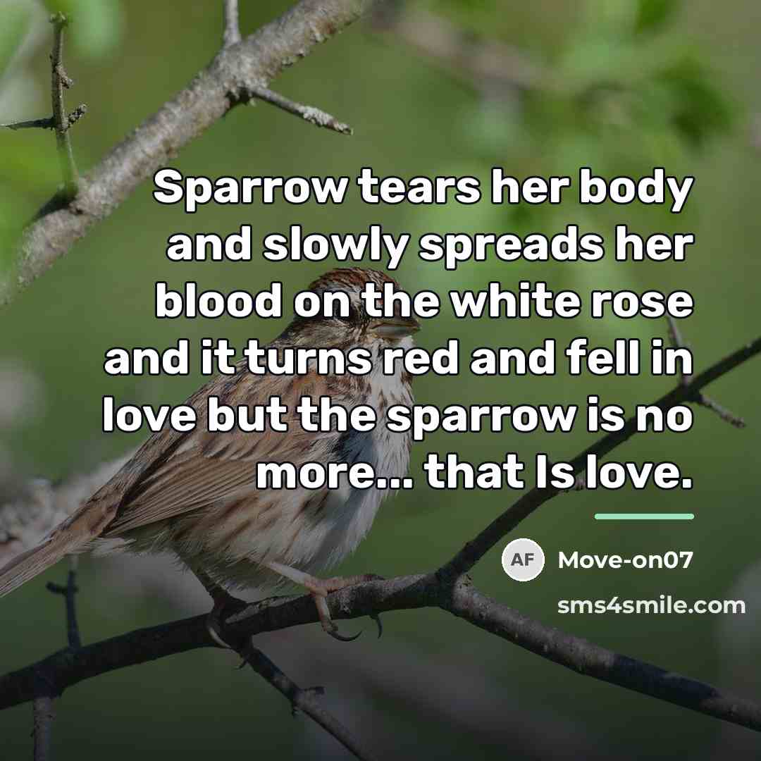 “Sparrow tears her body and slowly spreads her blood on…” quote by Move-on07