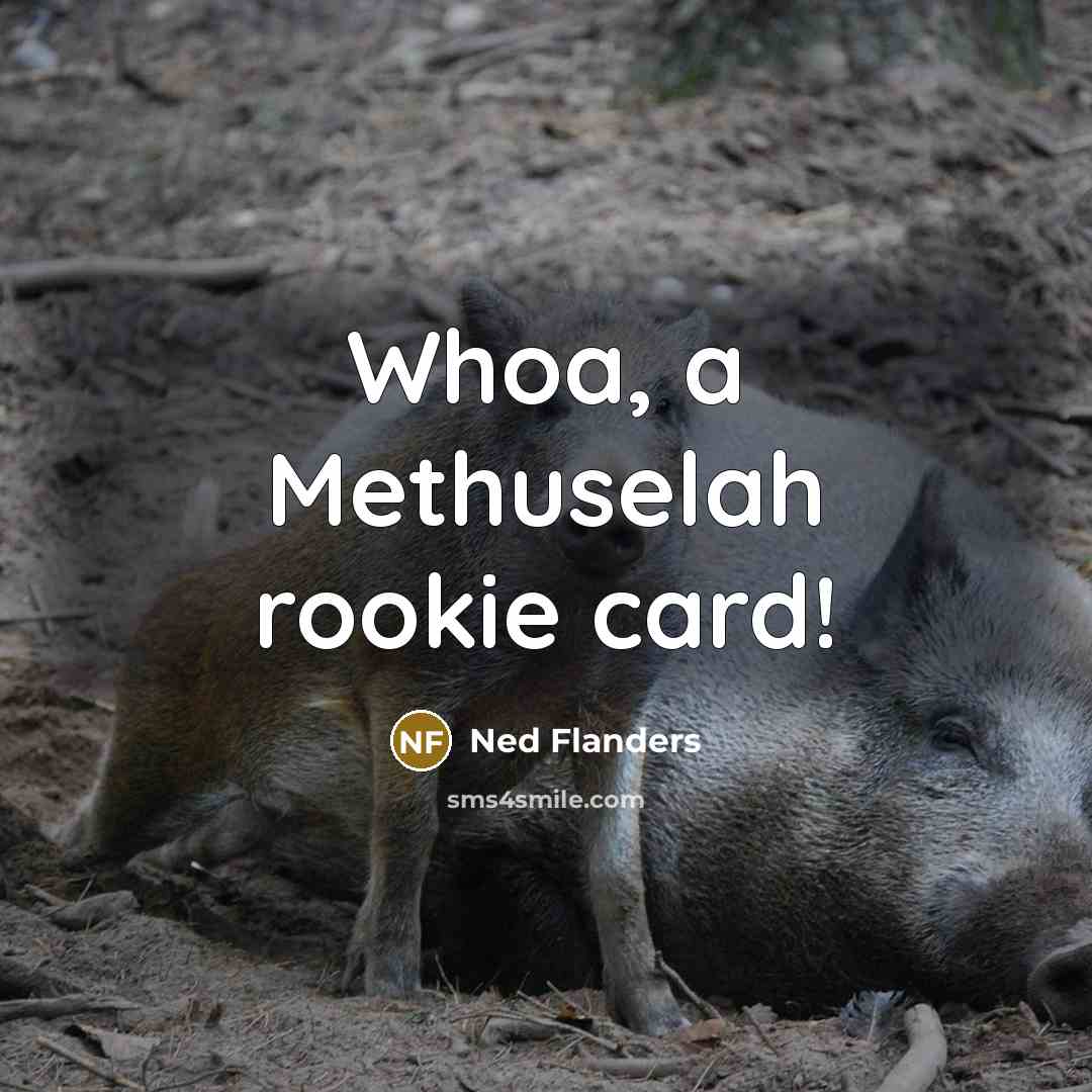 “Whoa, a Methuselah rookie card!…” quote by Ned Flanders