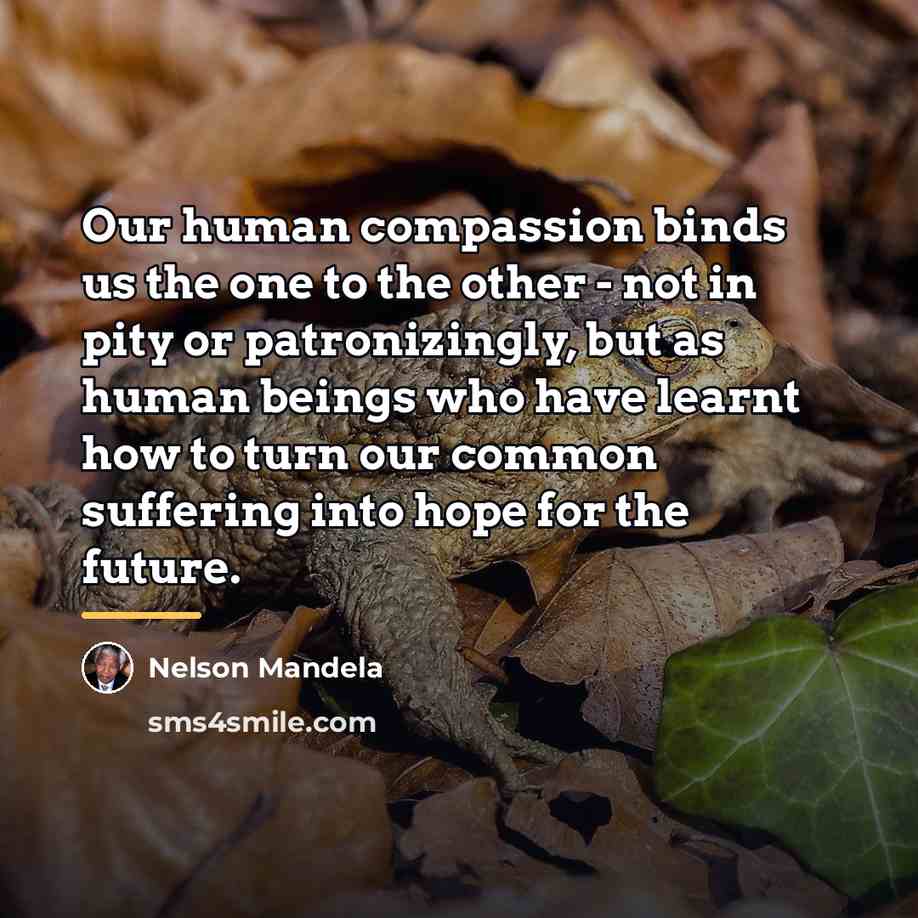 “Our human compassion binds us the one to the other…” quote by Nelson Mandela