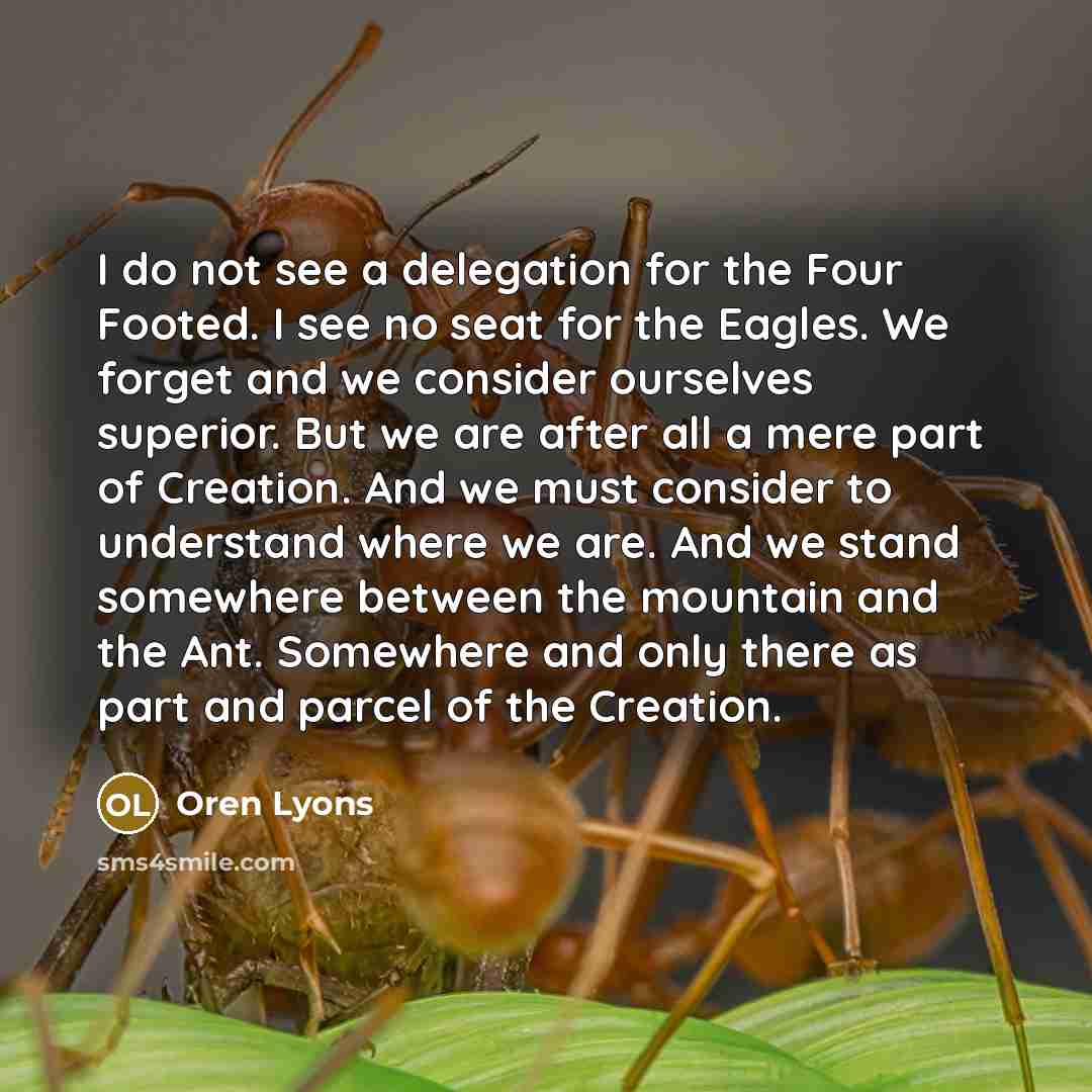 “I do not see a delegation for the Four Footed.…” quote by Oren Lyons