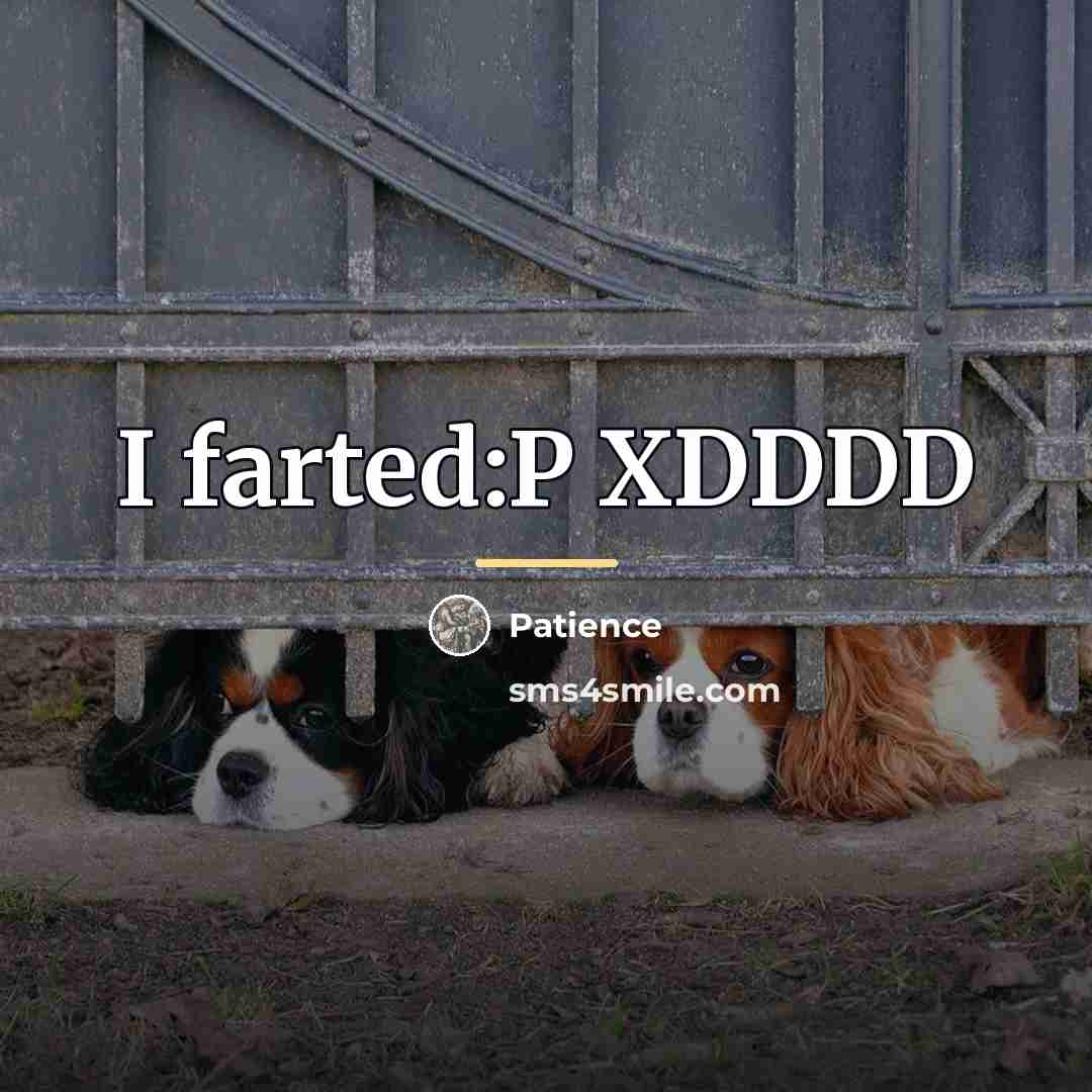 “I farted:P XDDDD…” quote by Patience