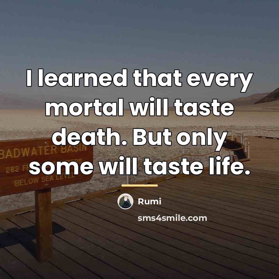 “I learned that every mortal will taste death. But only…” quote by Rumi