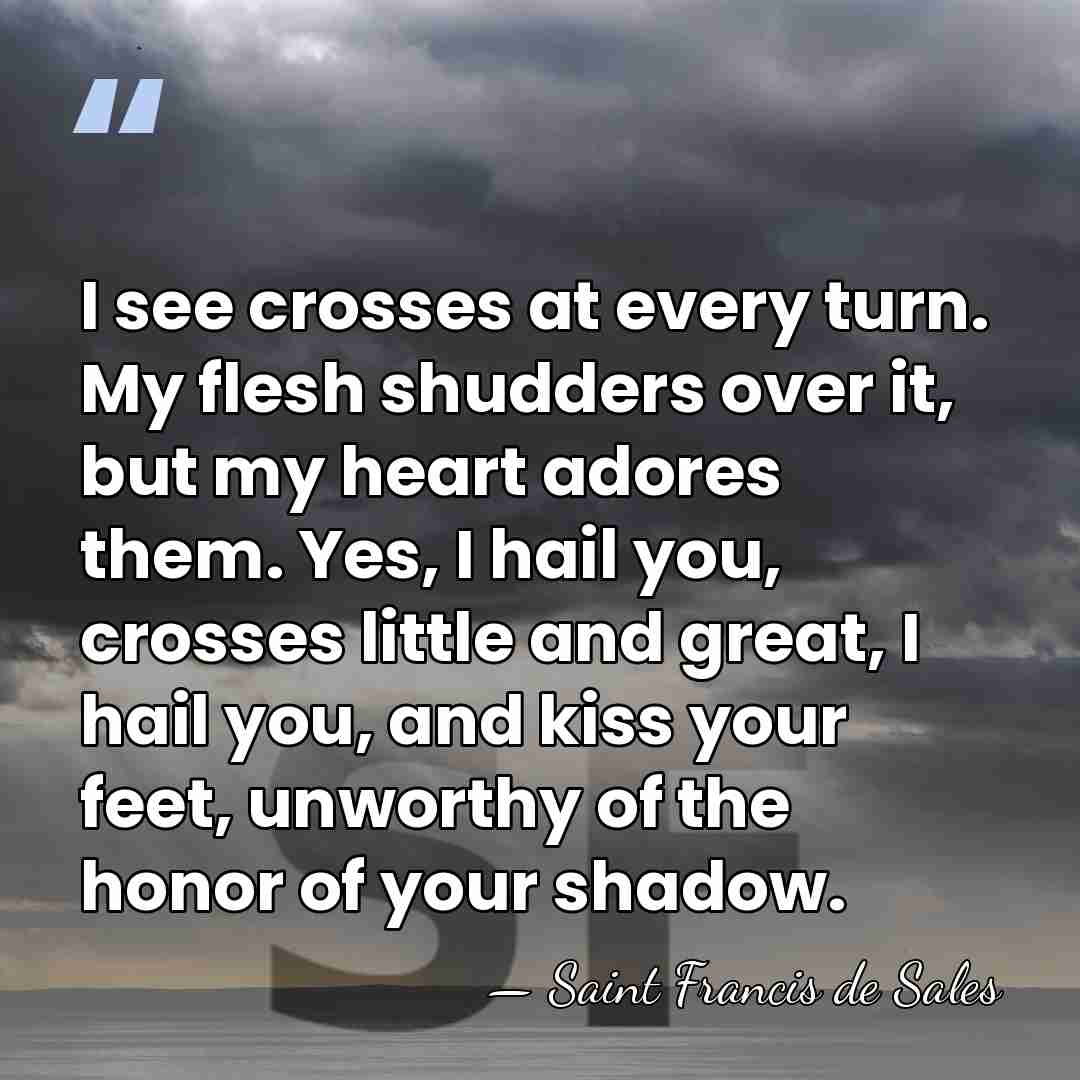 I see crosses at every turn. My flesh shudders over it, but&hellip; - Saint Francis de Sales