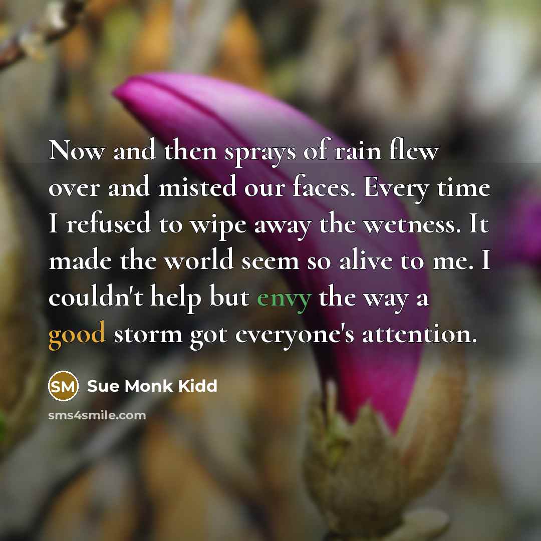 “Now and then sprays of rain flew over and misted…” quote by Sue Monk Kidd