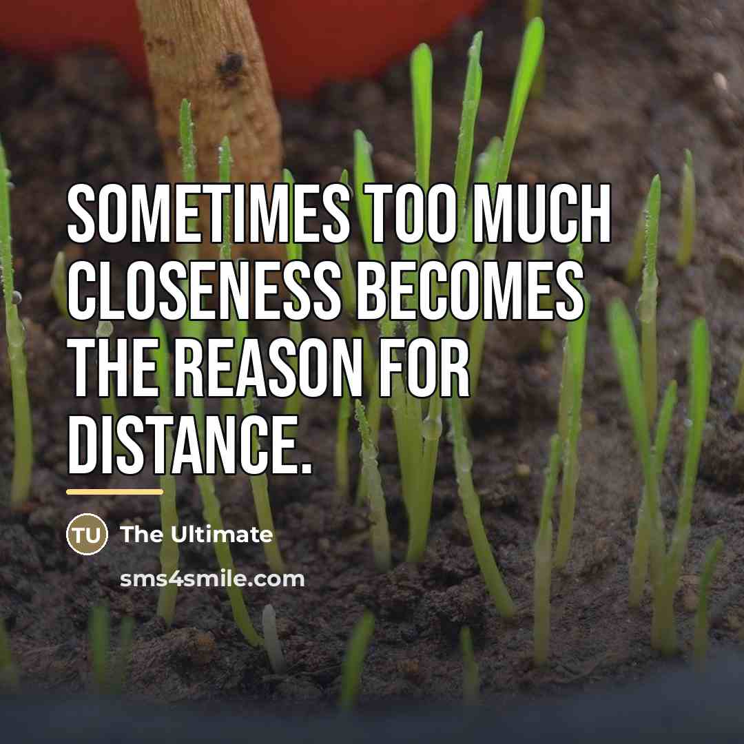 “Sometimes too much closeness becomes the reason for distance.…” quote by The Ultimate