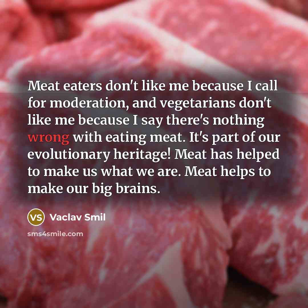 “Meat eaters don't like me because I call for moderation,…” quote by Vaclav Smil